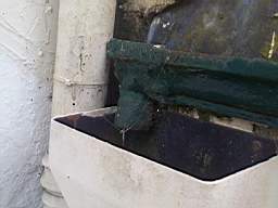 fkillineybeforeexternal 1185.jpg